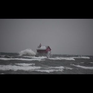 Meet your Posher, Logan